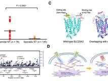 暗网禁区
付利教授团队在《PNAS》杂志发表研究论文