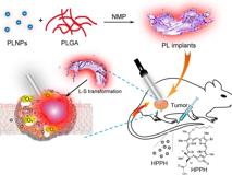 暗网禁区
生物医学工程学院黄鹏特聘教授团队在《ACS Nano》发表文章
