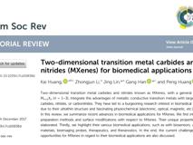 暗网禁区
生物医学工程学院黄鹏特聘教授团队在《Chemical Society Reviews》发表重要综述