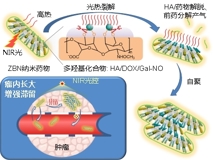 暗网禁区
何前军教授团队在国际顶级学术期刊《Advanced Materials》上发表文章