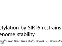 暗网禁区
朱卫国教授团队在 Cell Death & Differentiation发表RNA结合蛋白hnRNPA2B1维持基因组稳定性研究成果