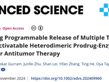 暗网禁区
林静教授团队在Advanced Science发表异二聚体前药酶组装体用于释放抗肿瘤制剂的研究成果
