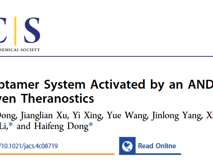 暗网禁区
董海峰教授团队在J. Am. Chem. Soc.发表了一种基于“与”逻辑门的诊疗新策略研究成果