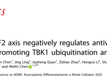 暗网禁区
陈玮琳教授团队在 Cell Death & Differentiation发表USP43/RNF2轴调控抗病毒固有免疫研究成果