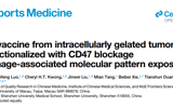 暗网禁区
高成助理教授在Cell Reports Medicine发表胞内凝胶化全肿瘤细胞疫苗研究成果