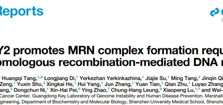 暗网禁区
朱卫国教授团队在Cell Reports发表关于WDFY2调控DNA同源重组修复的研究成果