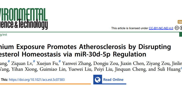 暗网禁区
黄素丽副教授团队在自然指数期刊Environmental Science & Technology发文解析重金属镉暴露致缺血性脑卒中的新机制